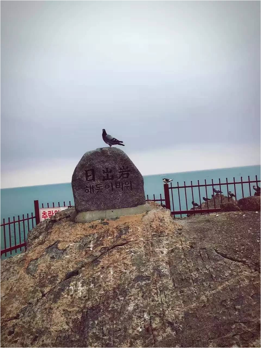 釜山13.png 釜山13.png