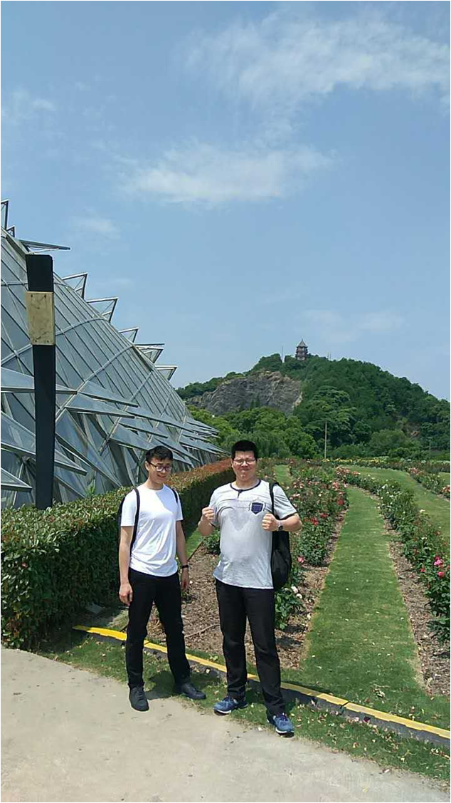 上海8.png 上海8.png