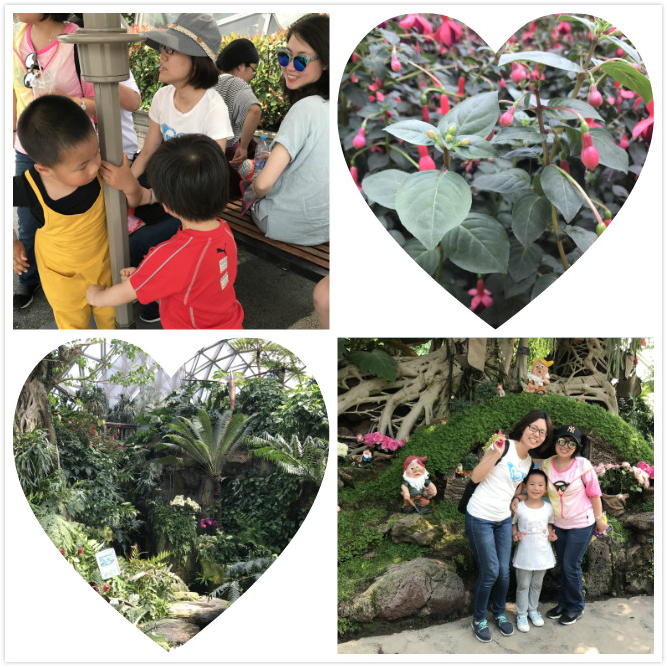 上海17.png 上海17.png