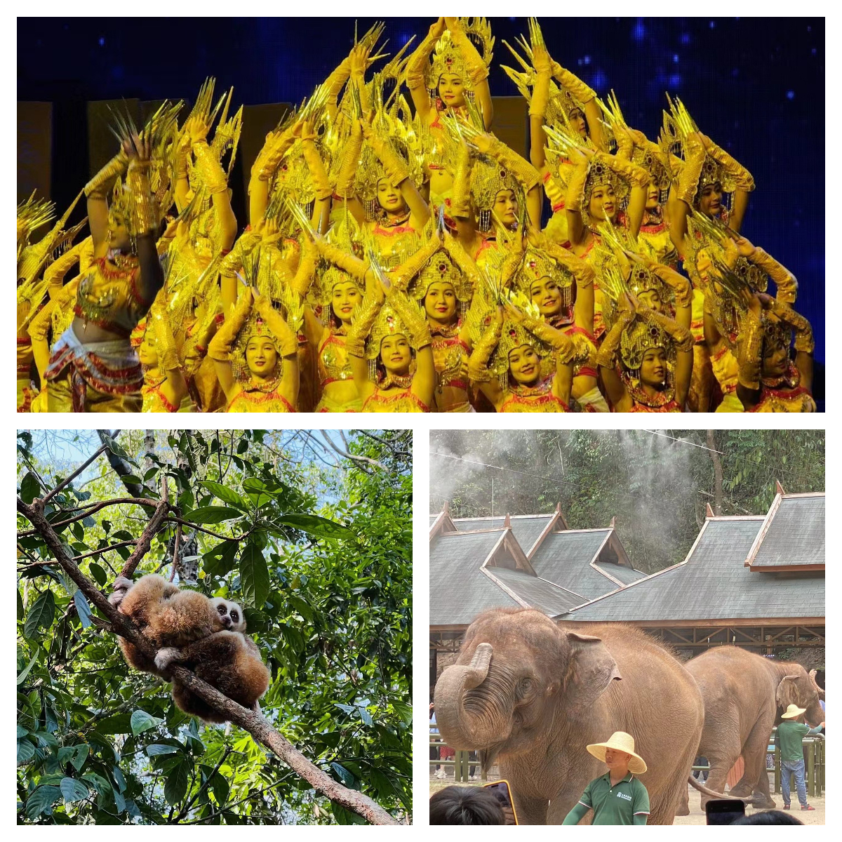 下載 (2).jpg 下載 (2).jpg